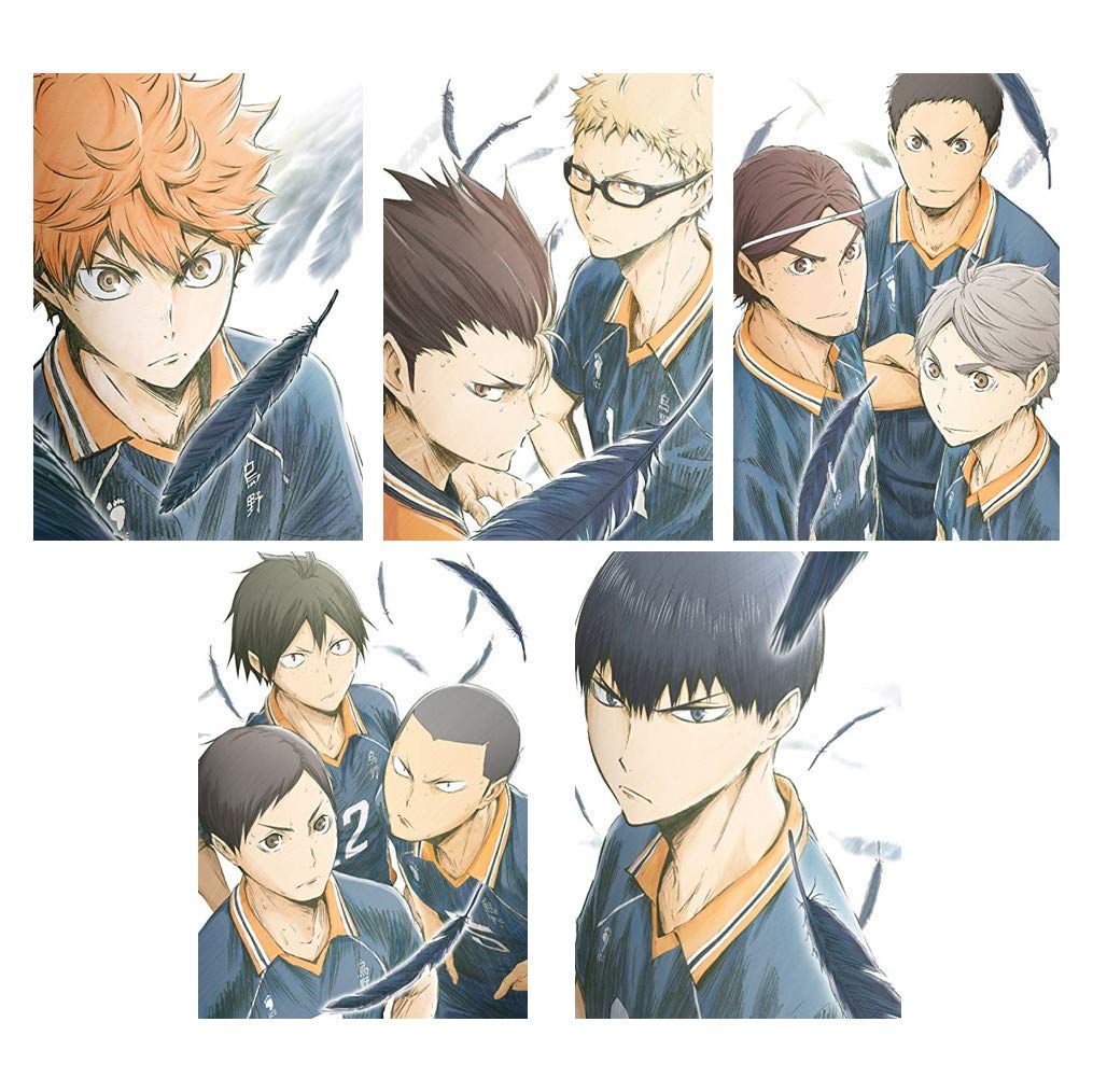 

Karasuno High School VS Shiratorizawa Academy High School Complete Set Haikyu!! (Vol.1~5) [DVD]