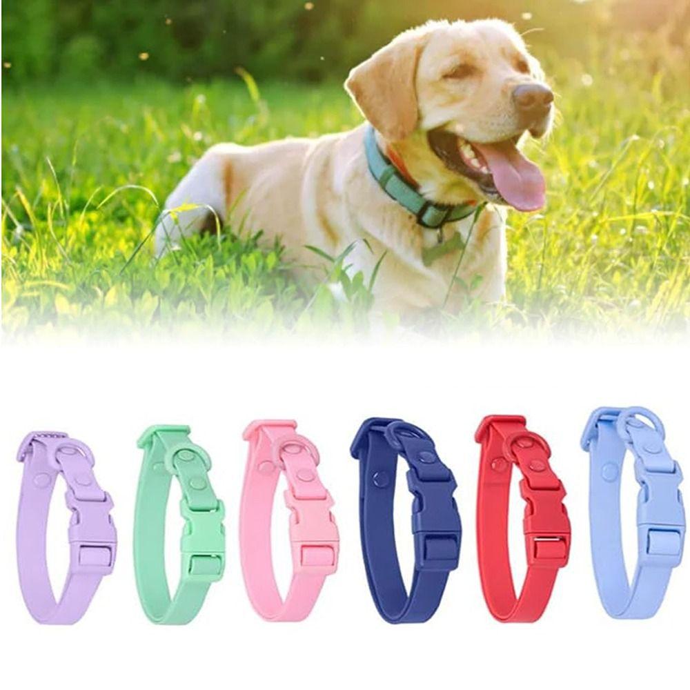 Adjustable Waterproof Dog Collar Elastic Webbing Safety Buckle Chain Fashion Pet Collar  Walking