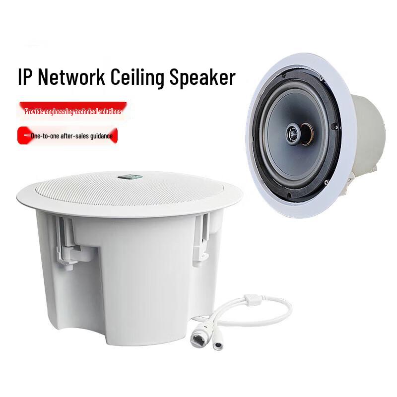 Lingque AM2991 Emergency Broadcast IP Ceiling Speaker CN Plug (adapter Included) (CN Version)