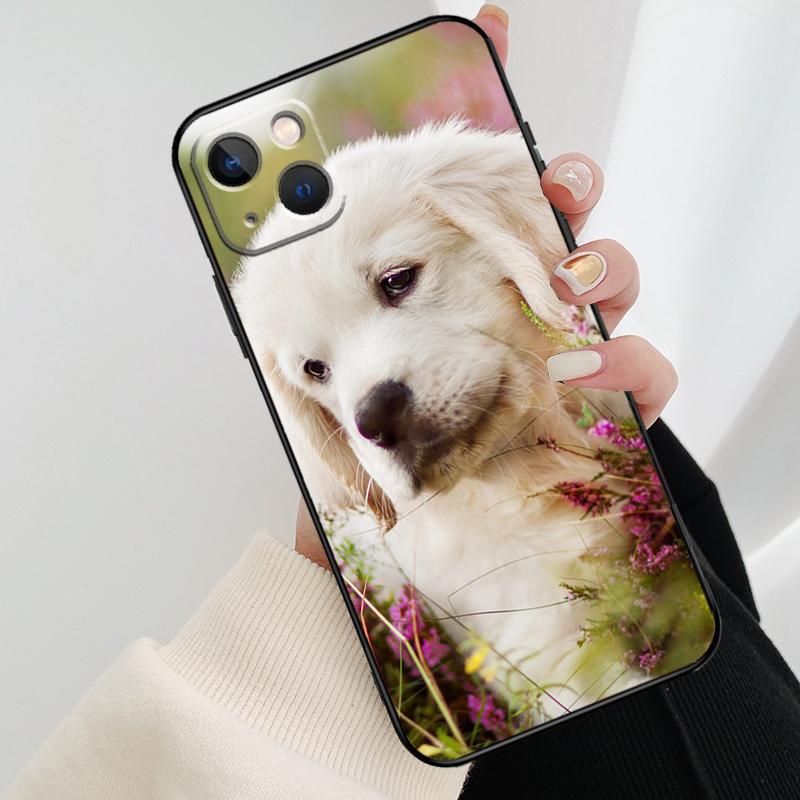 Golden Retriever Hund Handyhülle Für iPhone 11 12 13 14 15 16 Pro XS Max Mini Hülle Für iPhone X XR Plus Rückseite Hülle