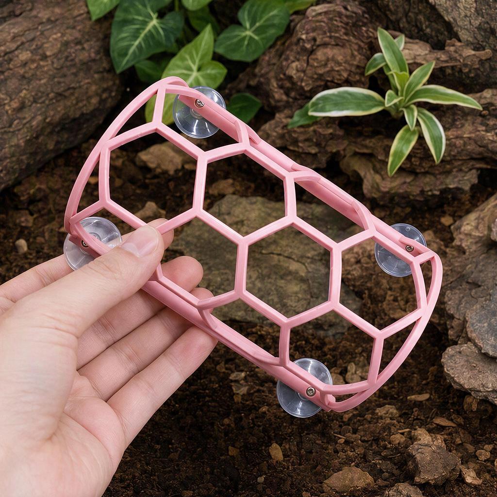 Corn Snake Habitat Honeycomb Climbing Platform Suction Cup Wall Mount Reptile Terrarium Decor Hide