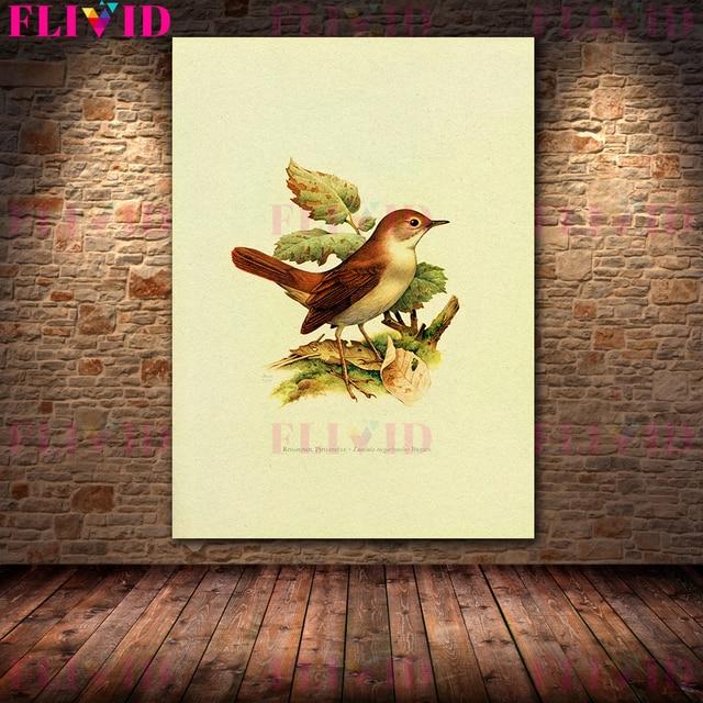 

Винтажная иллюстрация птицы, принт, настенная живопись на холсте, орнитология, природа, художественный постер и принт для украшения гостиной, без рамки 21*30cm