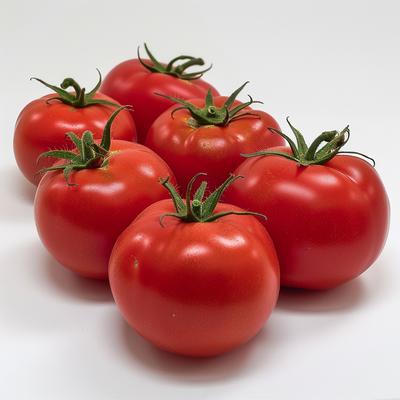 35 Moneymaker-Tomatensamen