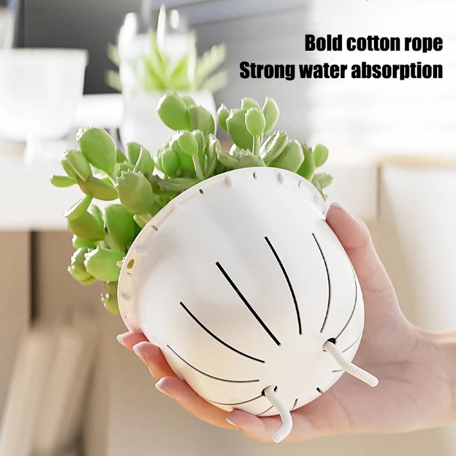 Self-Watering Plant Pots Self-Watering Pots,Double Layer Planter with Reservoir, Clear Flowerpot Decorative Pot for African