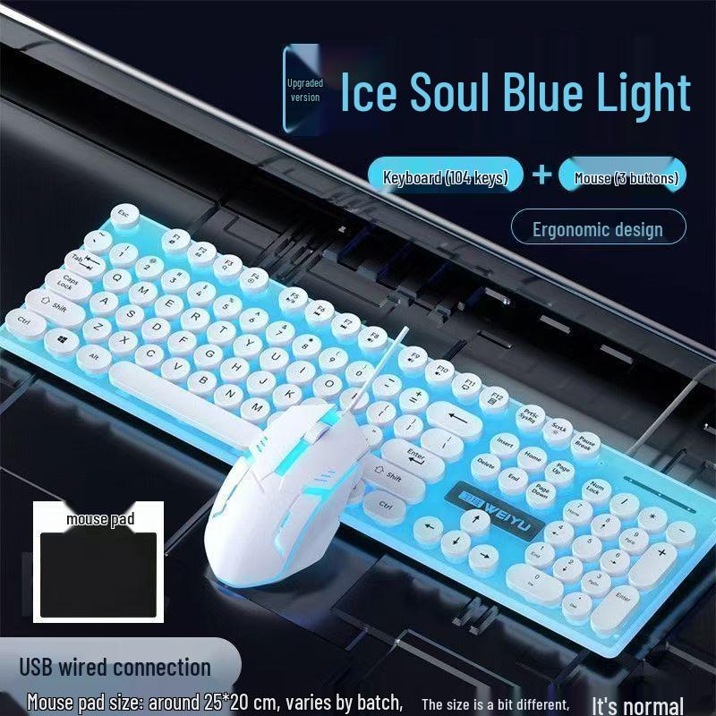 Luminous Punk Keycaps Wired Keyboard & Mouse Set for Gaming