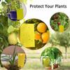 20Pcs Strong Fly Traps Bugs Sticky Board Dual-Sided Catching Aphid Insect Pest Control Whitefly Thrip Leafminer Glue Sticker
