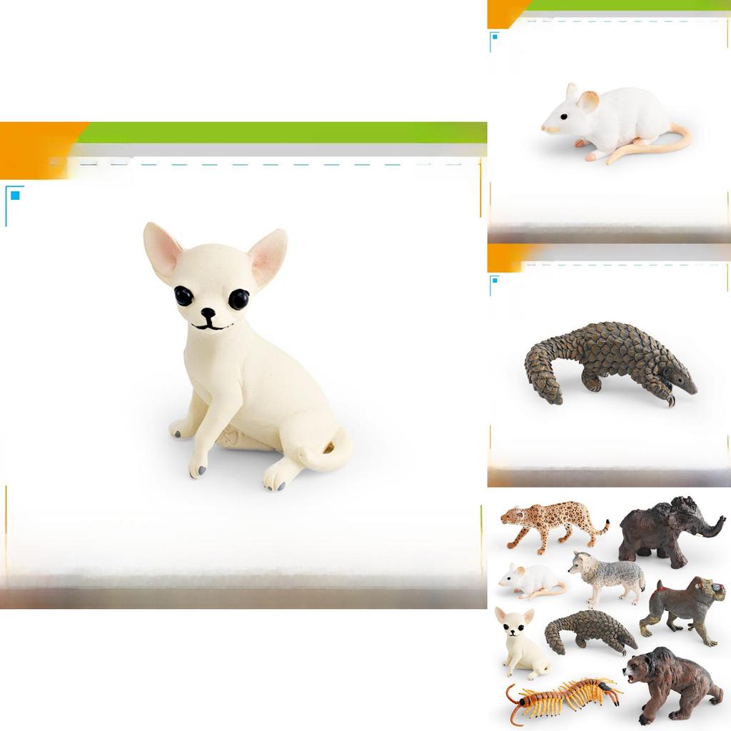 Wölfe Leoparden PVC Wildtiermodelle mit statischen Figuren für pädagogisches und kreatives Spiel