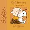 Celebrating Peanuts by Charles M. Schulz Paperback Book 9781449471828