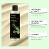 Champú de Romero Calmante para el Cuero Cabelludo Anticaspa Refrescante Aporta Volumen Reparador de Puntas Abiertas Aceite Vegetal Control de Grasa Nutrición Champú para el Cabello