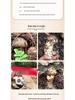 Wild Shangri-La Matsutake Mushroom Slices - Dried Gourmet Delight