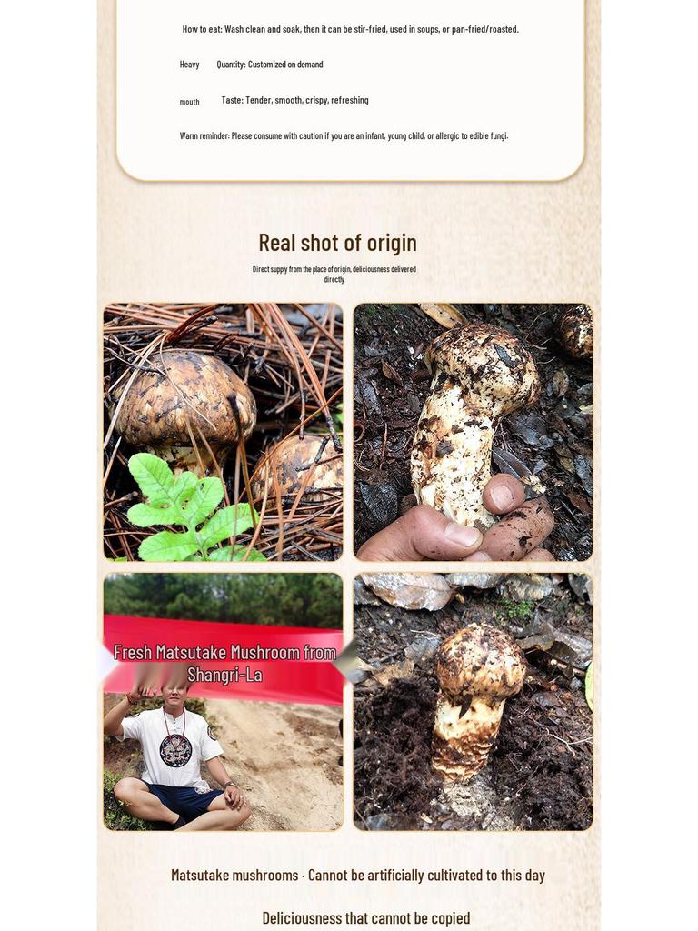 Wild Shangri-La Matsutake Mushroom Slices - Dried Gourmet Delight