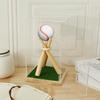 Baseball Display Box Acrylic Cube Baseball Stand with Wood Stand and Simulation Turf Multipurpose Storage Box Tabletop Decor