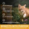 PURPOSE Freeze Dried Raw Cat Food, Grain Free Dry Cat Food, Complete Balanced Meal or Topper, Protein Rich Cat Food for All Breeds and Life Stages,