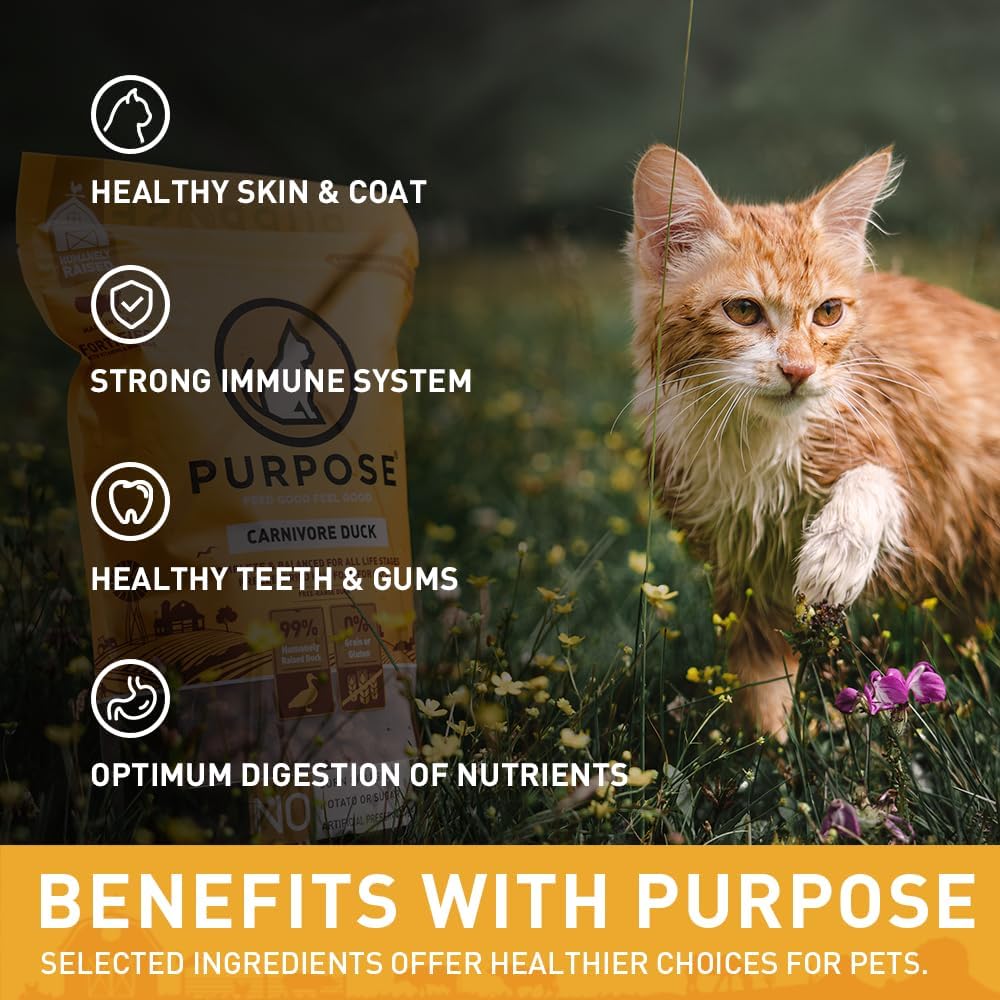 PURPOSE Freeze Dried Raw Cat Food, Grain Free Dry Cat Food, Complete Balanced Meal or Topper, Protein Rich Cat Food for All Breeds and Life Stages,