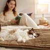 Comfortable Self-Warming Cat Dog Mat Pet Fleeces Ultra Soft Pet Bed Machine Washable Warm Cozy Pet Sleeping Mat Cat