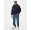Куртка зимняя Tommy Jeans DM0DM22730