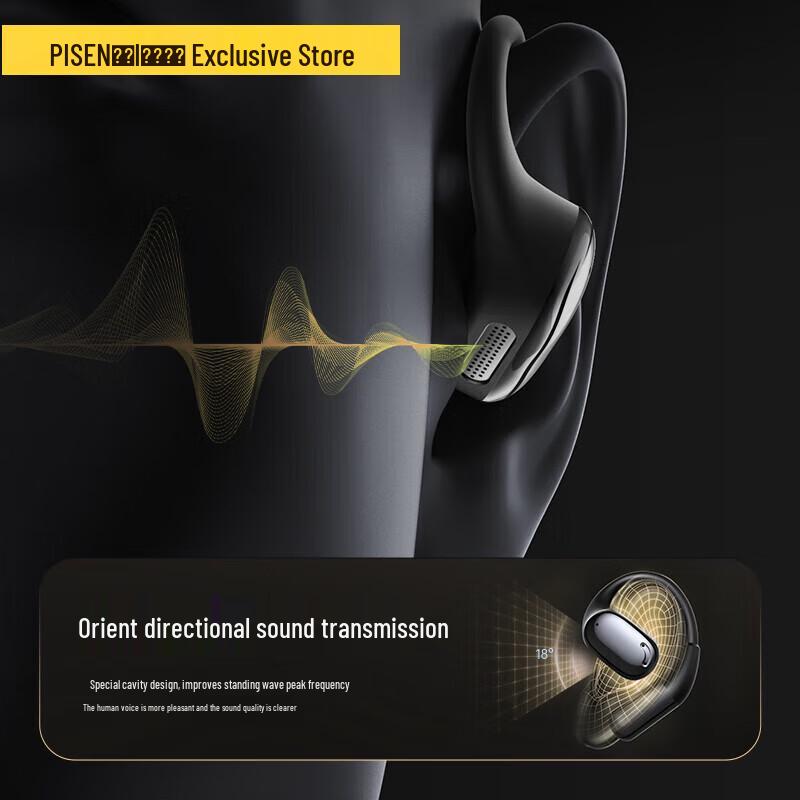 PISEN Open-Ear Hook True Wireless Sport Bluetooth Earbuds