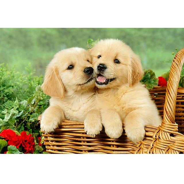 DIY 5D Diamond Painting Full Round Drill Animal Diamond Embroidery Cartoon Dog Cross Stitch Rhinestone Mosaic Gift Wall Sticker