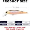 LUCKY CRAFT Pointer 65 Freeze Brown Fishing Lure Minnow [Bee 65SP] (803 Trout)