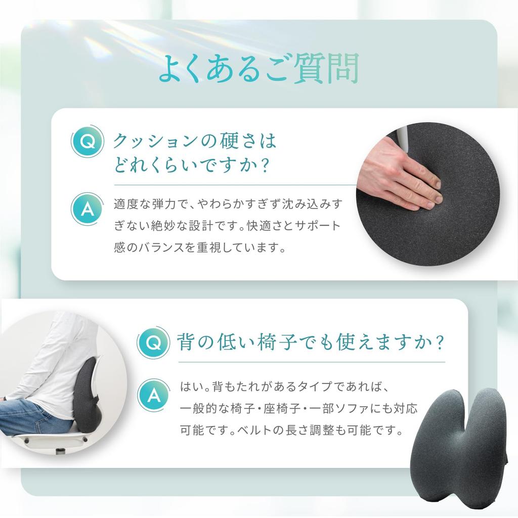 LeLante Car Cushion, Lumbar Support, Seat Cushion, Lower Back Pain, Driver's Seat Cushion, Memory Foam, Dark Gray