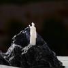 Jianghu Old Friends Knight Resin Bonsai Landscape Miniature Figures
