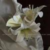 Flower Clip