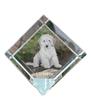 Cockapoo, Cockerpoo, Cockerdoodle – Crystal Cube with a Photo, Photo of a Horse In Crystal |