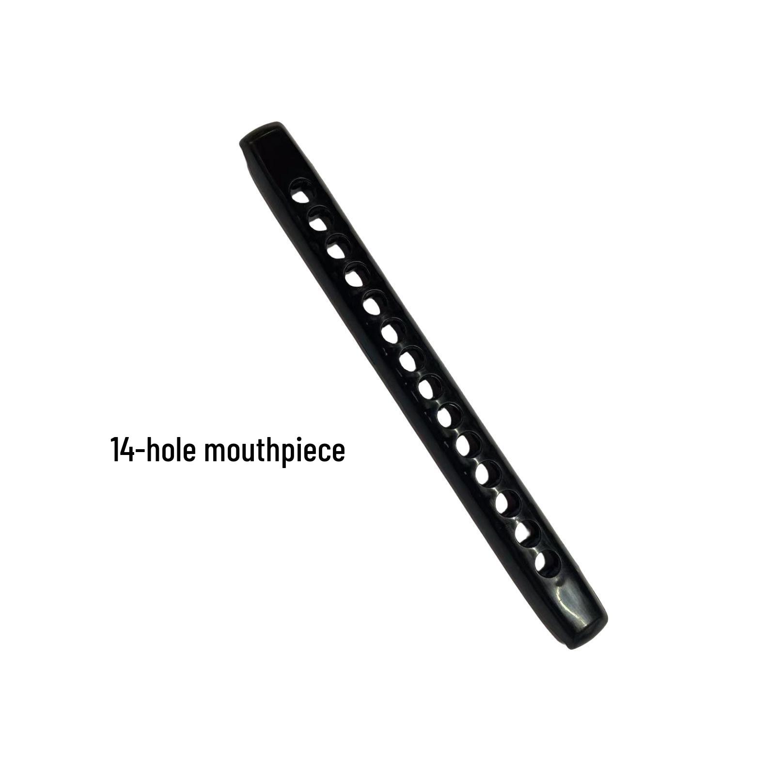 Chromatic Harmonica for Beginners with 12/14-Hole C Major and Detachable Mouthpiece