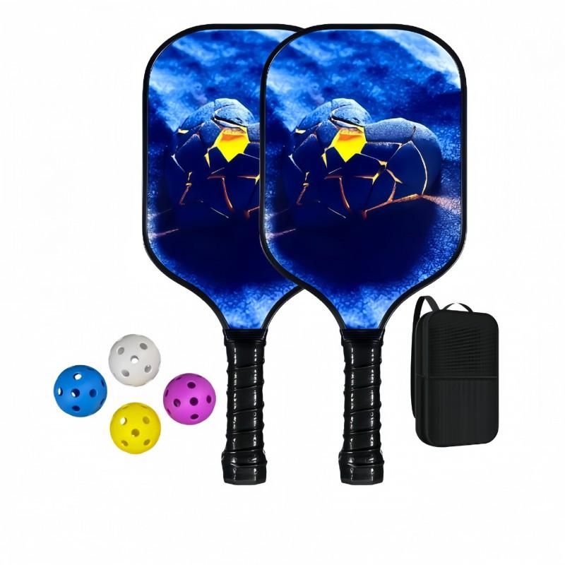 Lightweight Fiberglass Pickleball Paddles Full Set Training Equipment