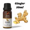 Olio Essenziale di Zenzero Ananta 10 ml – Olio Aromatico Caldo e Speziato per Diffusori, Candele e Profumazione per la Casa