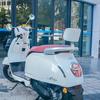 Compatible Backrest with Integrated Bracket for Wuyang-Honda NW F125