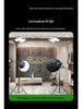 200W Cross-Border Soft Light: Live Streaming & Photography Lighting