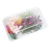 Dried Flowers Home Photography Props DIY Ornament Craft Specimen Accessories