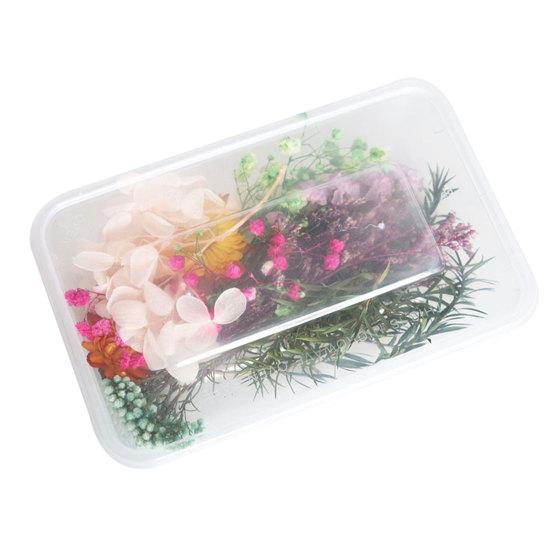 Dried Flowers Home Photography Props DIY Ornament Craft Specimen Accessories