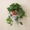 Room Decor Sharp Point Wall-mounted Floating Wall Shelf Flower Pot Rack Display Rack Storage Board