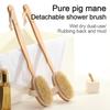 Detachable Shower Brush for The Back Bathroom Brush Back Dry Brushing Body Body Exfoliating Massage Shower