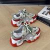 Platform-soled Dad Shoes Color Matching Breathable Mesh Shoes Women's Shoes 2025 Autumn New Sports and Leisure Shoes Versatile Trendy Shoes