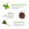 Sancha Tea Boutique, Spearmint Herbal Tea, 25 Pyramid Tea Bags,Pure Spearmint Tea With Cloves & Lemongrass, Tea For Pcos & Pcod, Naturally C