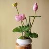 Bonsai Lotus Zen Arrangement: Elegant Artificial Flowers for Teahouse Décor