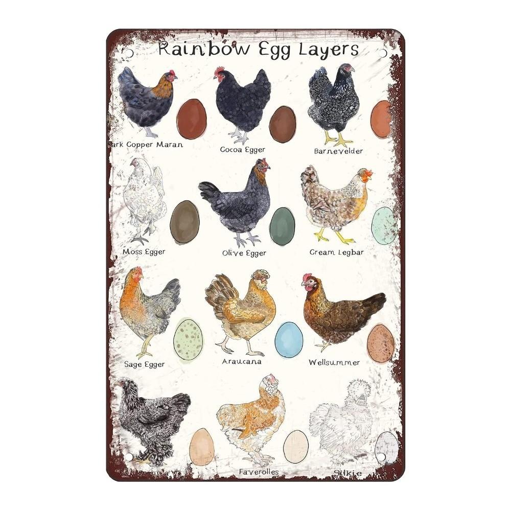 Metal Material Chicken Coop Signs Funny Style Rustic Funny Chicken Signs 20 * 30cm Vintage Chicken Coop Accessories