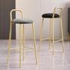 Nordic Iron Art Bar Stool with Backrest – Modern, Luxurious Design