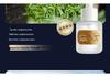 Langlong Aroma Pendant: Fresh Light Fragrance for Car and Home - Essential Oil Incense Holder