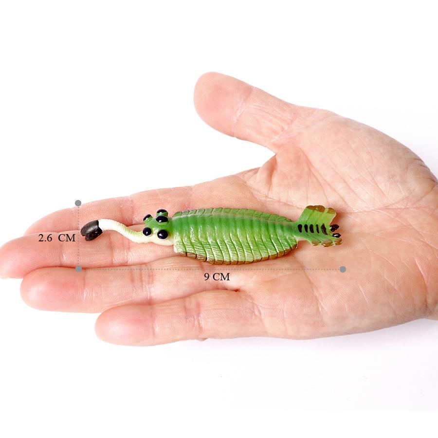 Realistic Prehistoric Sea Creatures Animal Figurines Baculite,Opabinia,Crab,Mantis Shrimp Educational Marine Animal Mode Figures
