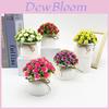Rose Indoor Miniature Plastic Potted Plant With Realistic Flowers For Home Decor And Photography Prop