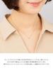 Official Silver Yellow Gold Birthday Gift for Comes with Jewelry 151824121001 [CANAL 4℃] Necklace, Women, Case,