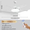 Modern Minimalist Ceiling Fan with Five Stainless Steel Blades, LED Light, Low Noise, and Frequency Conversion for Living Room or Dining Room.