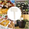 60pcs Wooden Blank T-Shaped Labels Markers for Price Markers / Gardening Markers / Cocktail Parties, Reusable Name Tag Cheese Markers
