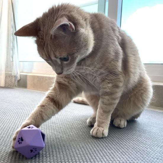 Katzen Leckerli-Spender Würfel Interaktives Futterspielzeug Polyedrischer Würfel Lustiger Leckerli-Spender Katzen Puzzle