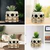 Creepy Skull Planter Succulent Vase Realistic Looking Multi-Face Design Horror Skeleton Planter