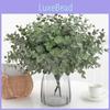 Eucalyptus Plant Globulus Foliage For Home Enhancement Photography Prop